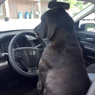 Luke driving his car