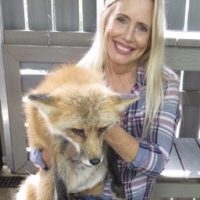 Busch Wildlife with Jane the fox