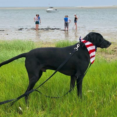 Exploring the beach